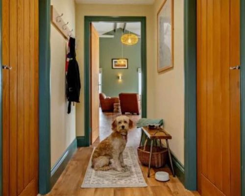 FB_IMG_1721832623741