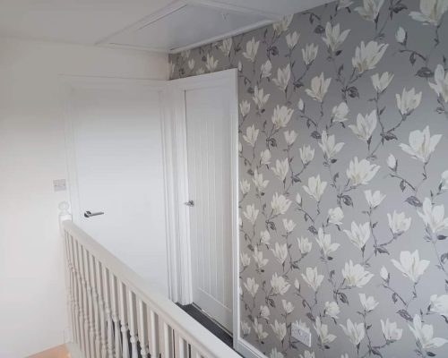 FB_IMG_1721832871005