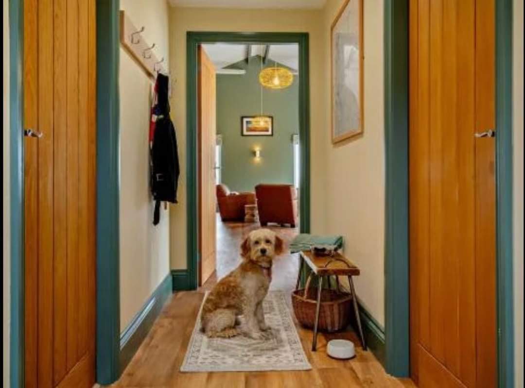Painting and decorating project photo